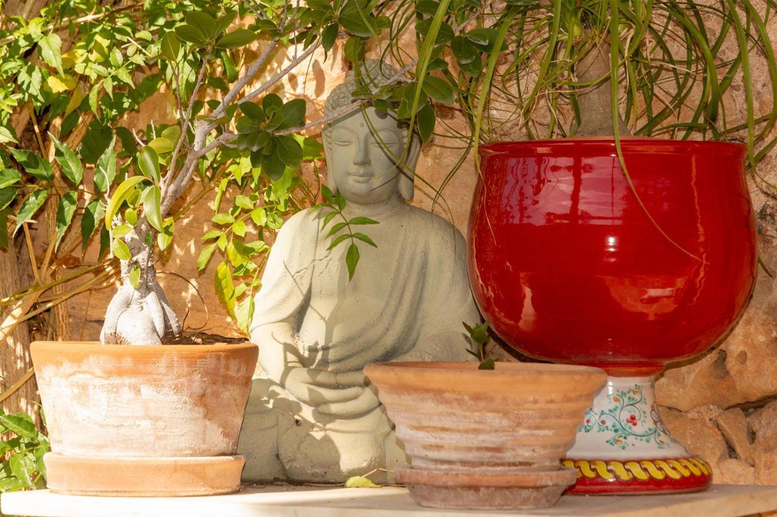 Lujosa Casa Mallorquina Restaurada Ses Salines (Mallorca)